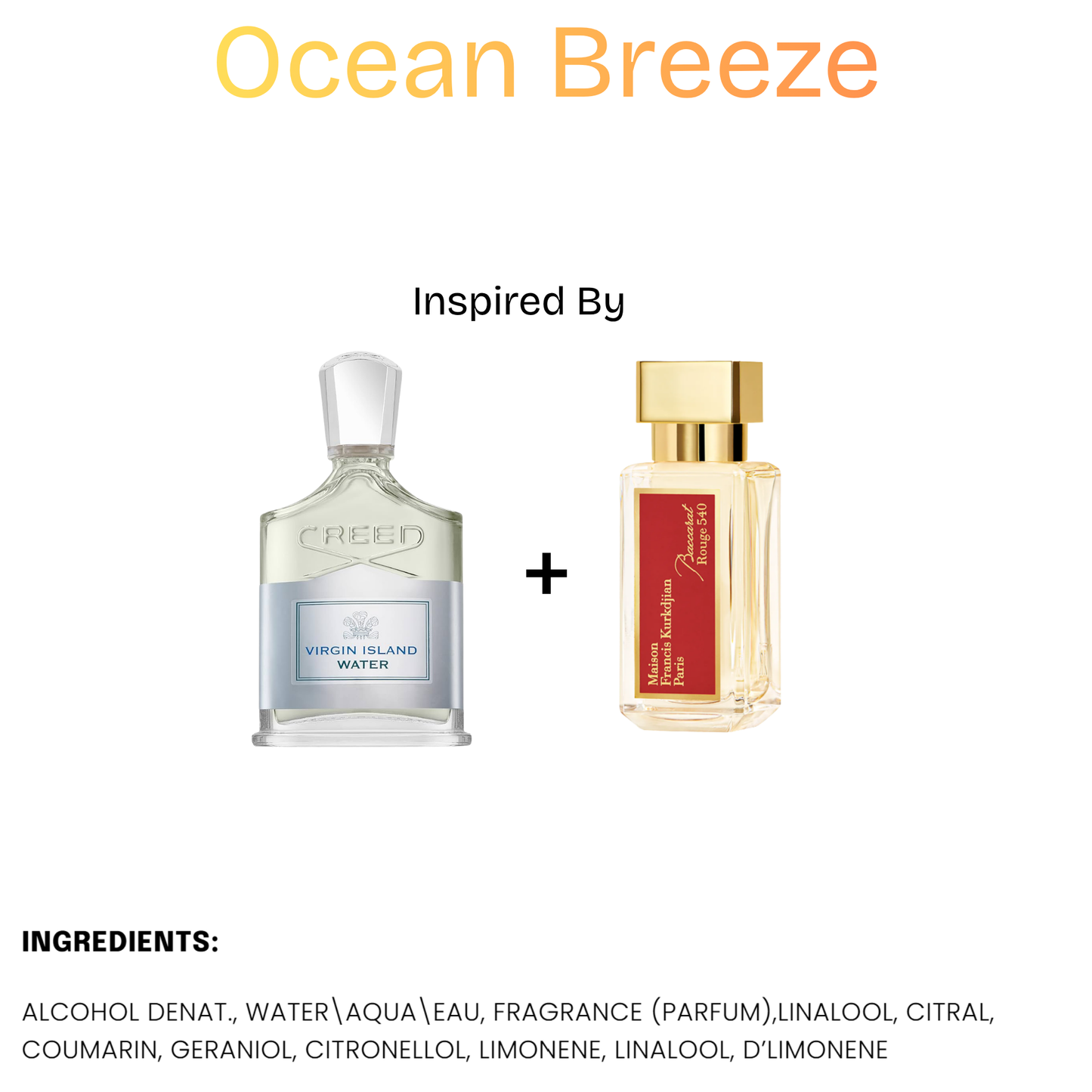 Fragrances - True North